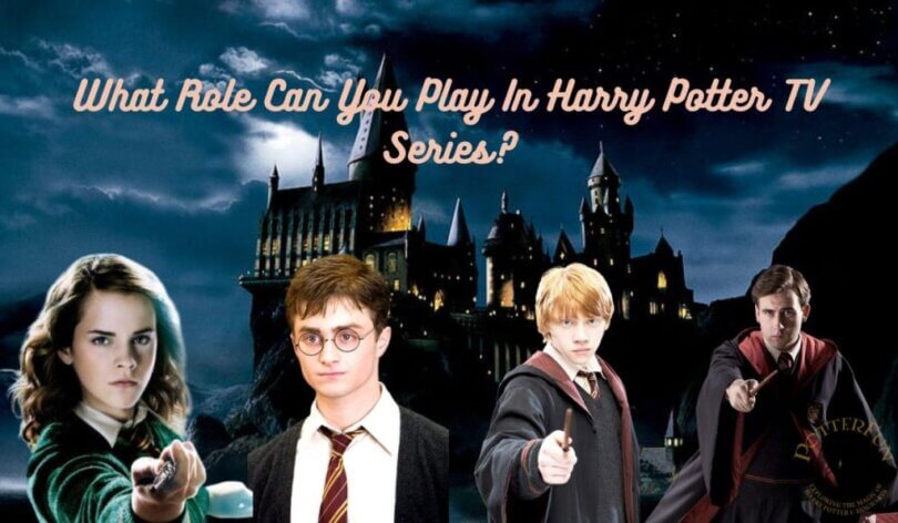 My Role In Harry Potter TV Series Quiz