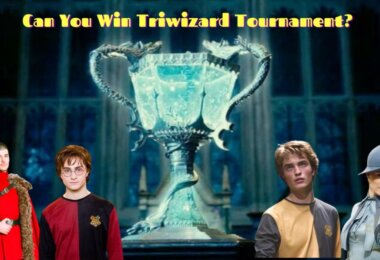Triwizard Tournament Quiz