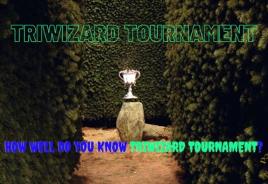Triwizard Tournament Trivia