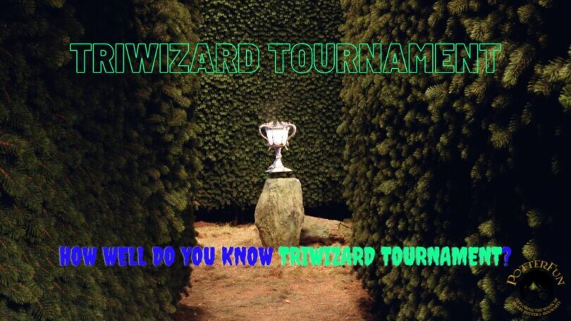 Triwizard Tournament Trivia