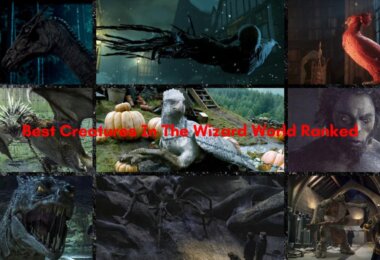 9 Best Creatures In The Wizard World Ranked