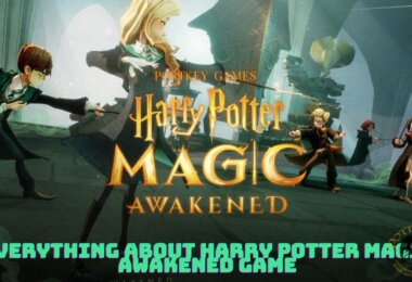 Everything About Harry Potter Magic Awakened Game