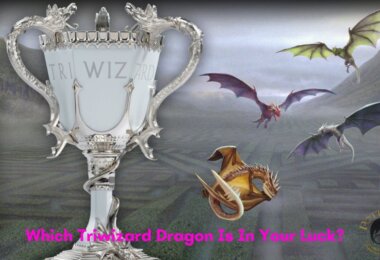Triwizard Dragon Quiz