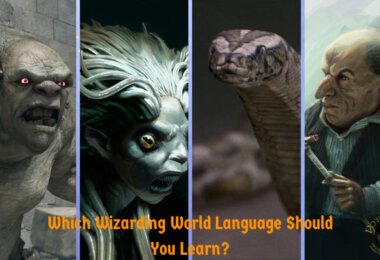 Harry Potter Language Learning Quiz