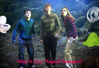 Magical Travel Wizardry Quiz