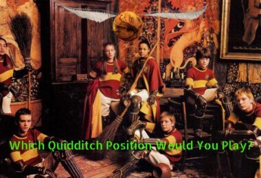 Quidditch Position Quiz