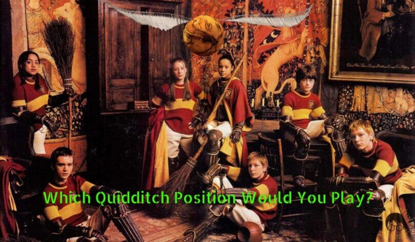 Quidditch Position Quiz