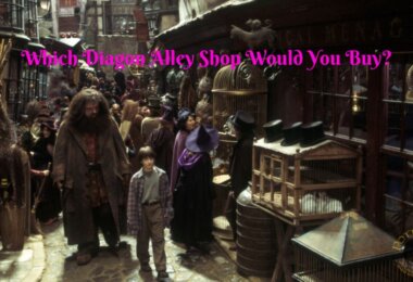 Which Diagon Alley Shop Is Yours Quiz