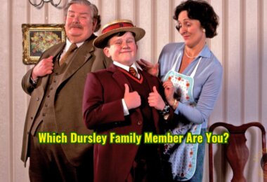 Dursley Family Quiz