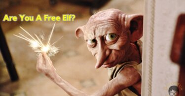 Are You A Free Elf Quiz