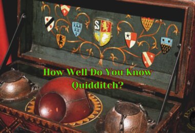 Quidditch Trivia