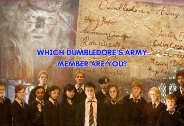 Which Dumbledore's Army Member Are You Quiz