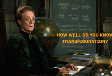 Harry Potter Transfiguration Trivia