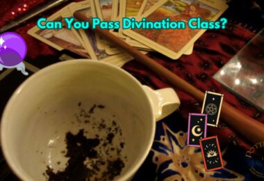 Divination Class Quiz