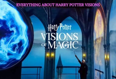 Everything About Harry Potter Visions